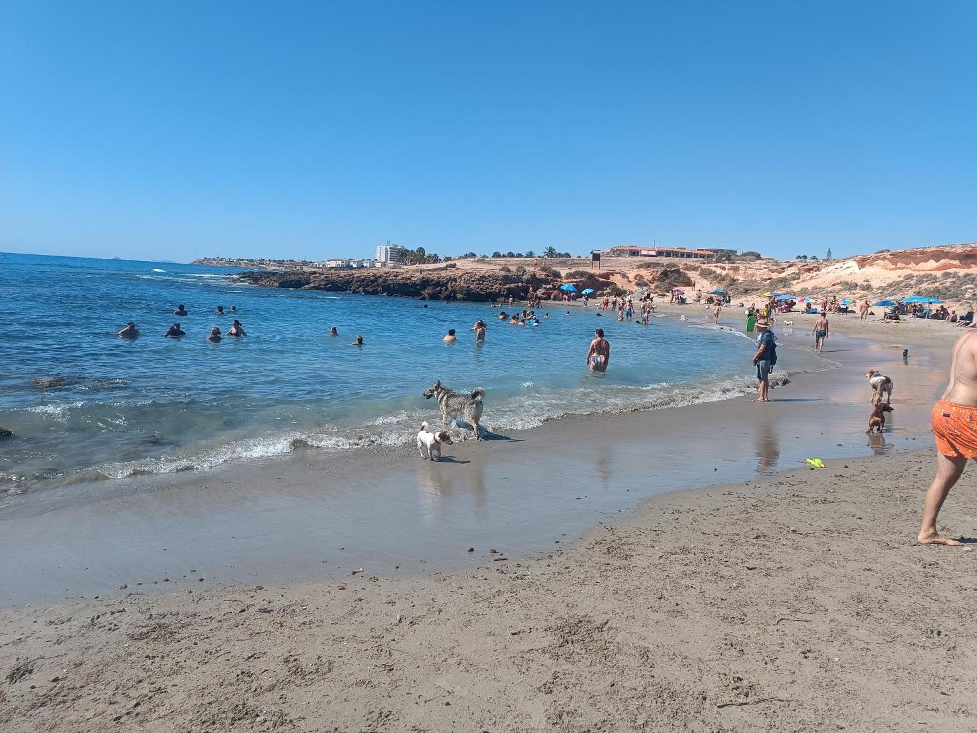 La Campana Daire Dehesa de Campoamor  Dış mekan fotoğraf